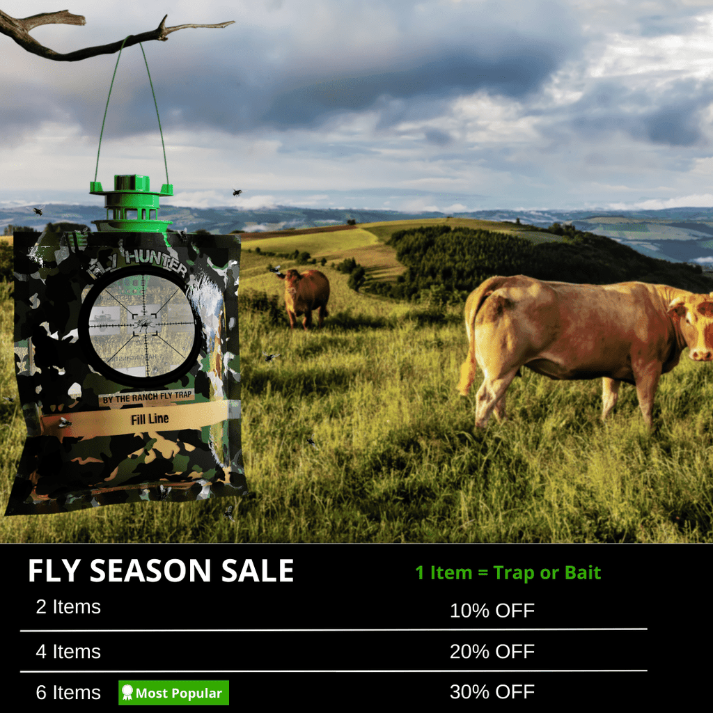 Fly Hunter